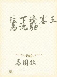 往下边塞玉器骑马沈驰封面