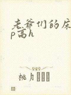 老爷们的床奴np高h