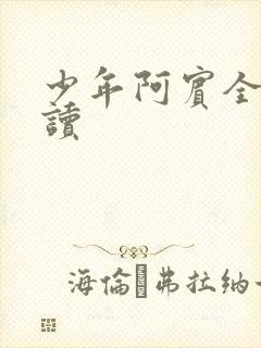 少年阿宾全集阅读