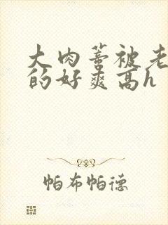 大肉蒂被老头嘬的好爽高h封面