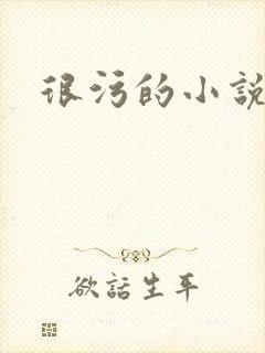 很污的小说封面