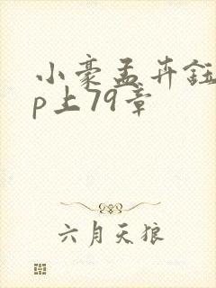 小豪孟卉钰慧三p上79章封面