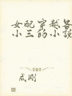 女配穿越各个做小三的小说