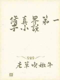 修真界第一病秧子小说