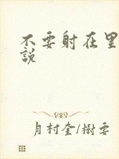 不要射在里面小说