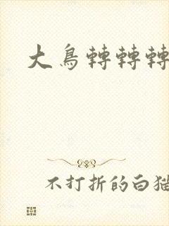 大鸟转转转