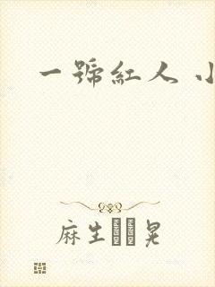 一号红人 小说
