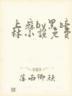 上瘾by黑暗森林小说免费