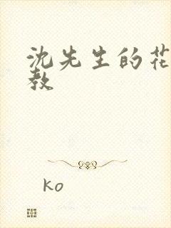 沈先生的花式调教封面