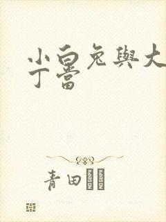 小白兔与大灰狼丁当