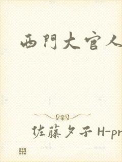 西门大官人封面