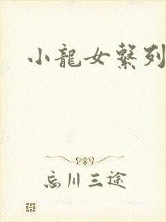 小龙女系列小说