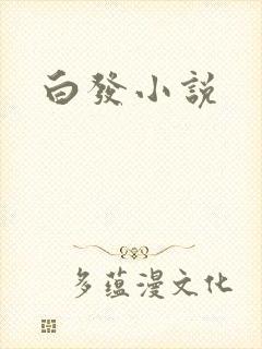 白发小说