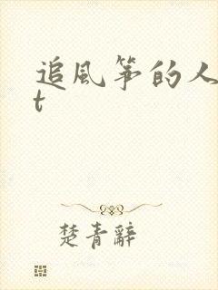 追风筝的人txt封面