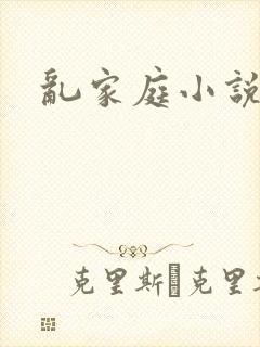 乱家庭小说封面