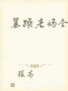 暴躁老妈全集封面