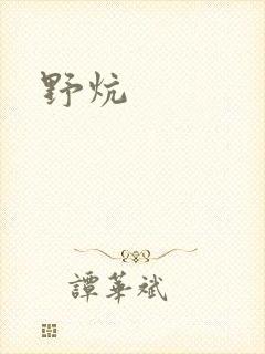 野炕封面