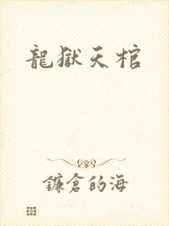 龙狱天棺封面