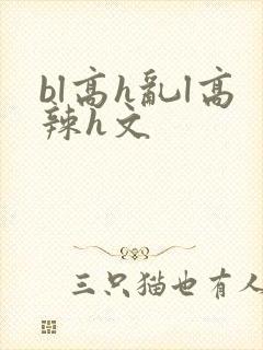 bl高h乱l高辣h文