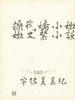 搡我娇小嫩苞又嫩又紧小说封面