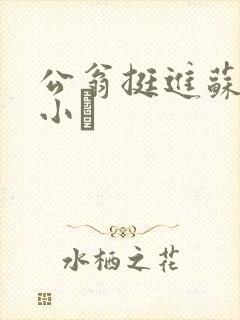 公翁挺进苏玥的小泬