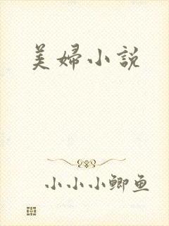 美妇小说封面