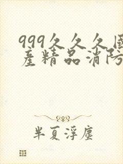 999久久久国产精品消防器材封面