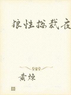 狼性总裁夜欢宠