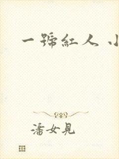 一号红人 小说封面