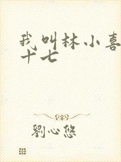 我叫林小喜今年十七