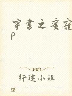 穿书之蜜宠hnp封面