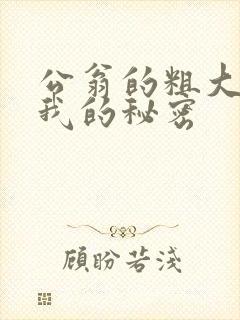 公翁的粗大放进我的秘密封面