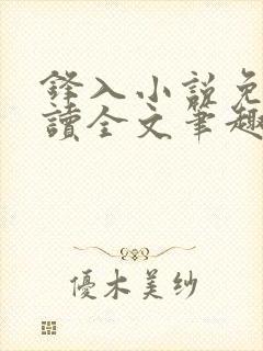 锋入小说免费阅读全文笔趣阁封面