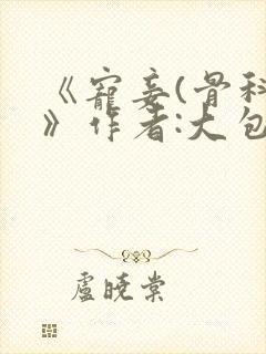 《宠妾(骨科)》作者:大包子