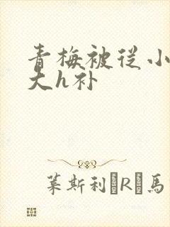 青梅被从小摸到大h补