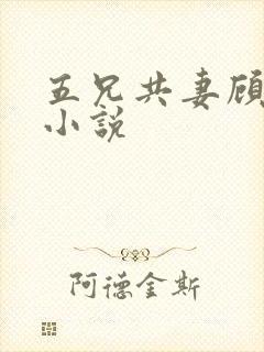 五兄共妻顾心儿小说