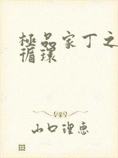 极品家丁之因果循环