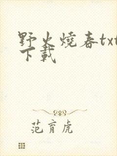 野火烧春txt下载