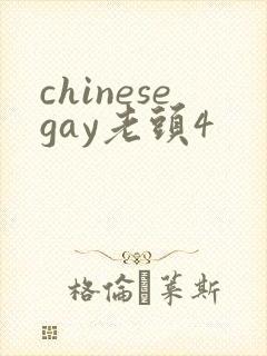 chinesegay老头4封面