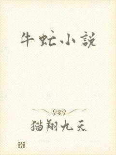 牛虻小说封面