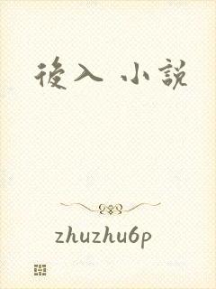 后入 小说