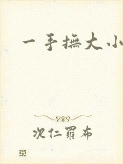 一手抚大小说