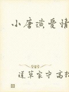 小唐璜爱情历史