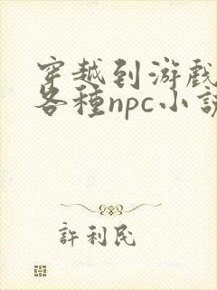 穿越到游戏里和各种npc小说