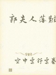 郭夫人落难封面