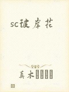 sc彼岸花封面