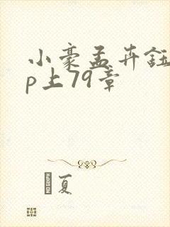 小豪孟卉钰慧三p上79章封面