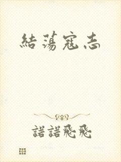 结荡寇志封面