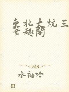 东北大炕三部曲笔趣阁