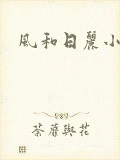 风和日丽小说